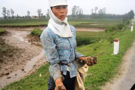 Tận mắt chứng kiến nỗi khổ “mò cua bắt ốc” thời nay