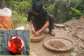 Hành trình vận mệnh tìm kiếm rubi Lục Yên