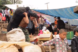 “Bán rẻ” cuộc đời theo con nước sông Đà