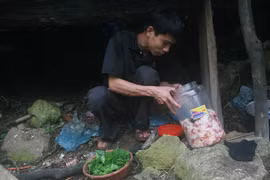Kiếp đá đỏ: Sinh tồn ở rừng hoang