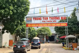 Vì sao Tập đoàn HDB Việt Nam bị Bắc Giang thu hồi đất?