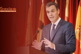 [INFOGRAPHIC] Sự nghiệp của Thủ tướng Tây Ban Nha Pedro Sánchez