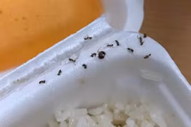 Gọi cơm rang dưa bò, cô nàng ngã ngửa "combo kinh dị" đi kèm