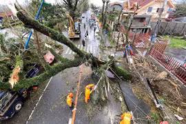 Siêu bão Goni tại Philippines: 31 triệu người bị ảnh hưởng