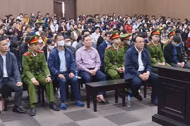 Tân Hoàng Minh dùng hơn 10.000 tỷ huy động từ trái phiếu vào việc gì?