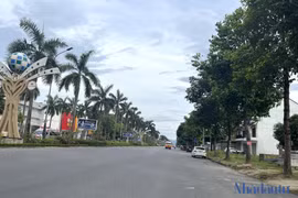 Nghệ An báo cáo kết quả rà soát dự án liên quan Công ty cây xanh Công Minh