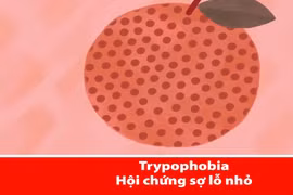 Video: Giải mã 13 nỗi sợ khó lý giải của con người