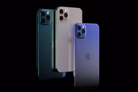 Lý do khiến iPhone 12 ế ẩm còn iPhone 12 Pro Max lại luôn đắt hàng