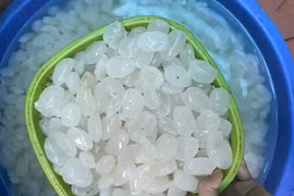 Những tác dụng không ngờ của hạt đác khiến chị em "săn lùng"