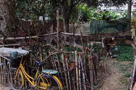Video: Khu vui chơi nhếch nhác vì thành nơi nuôi gà, trồng rau