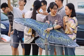 Bán diều nửa buổi chiều, tiểu thương kiếm tiền đủ sống cả tuần