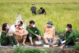 Lực lượng công an hỗ trợ bà con Bắc Giang thu hoạch lúa