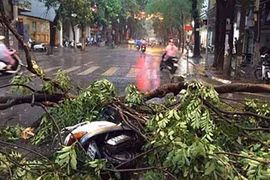 Gallery - Hà Nội ngập lụt - image 2