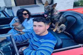 Hoa hậu Priyanka Chopra cho thú cưng dùng túi LV