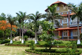 5 loại cây phong thủy trồng trước nhà giúp gia chủ cả đời giàu sang