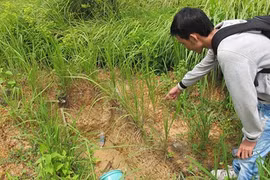 Những chuyện trộm xác ly kỳ ở nghĩa địa toàn tội nhân nổi tiếng