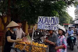 Hơn 700 tấn xoài mini Trung Quốc đổ bộ chợ Sài Gòn