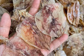 Mực khô giá rẻ, chỉ 200.000 đồng/kg loại mực to bằng cả bàn tay