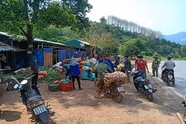 Gallery - Giải cứu nông sản - image 2