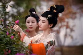 Hậu cung nhà Đường có một chế độ thị tẩm Hoàng đế cực đặc biệt
