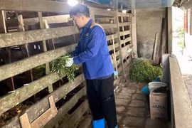 9x Hà Tĩnh bỏ việc nghìn đô về quê khởi nghiệp, thu nửa tỷ mỗi tháng