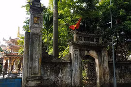 Gallery - Hà Nội bán cây sưa 100 tỷ  - image 1