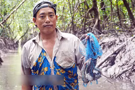 Thu tiền triệu mỗi ngày nhờ nghề săn loài cá kỳ lạ nhất hành tinh