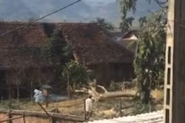 Video: Báo nước ngoài đăng cảnh cây bị cưa đổ "chặt" đứt đôi nhà ở VN