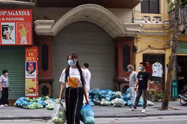 Người phụ nữ Hà Thành đánh ô tô mua 6 tạ su hào giải cứu