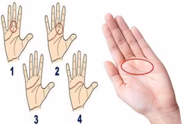 Người có một trong các tướng tay này là người biết giữ tiền