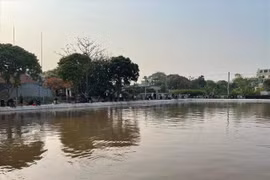 Thái Bình: Đánh bạc kiểu câu cá đeo khuyên, chục đối tượng bị bắt