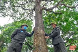 Gallery - Thiên Nhiên Việt Nam - image 14
