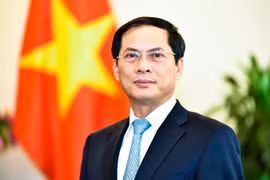 Bộ Chính trị phê bình nghiêm khắc Bộ trưởng Ngoại giao Bùi Thanh Sơn