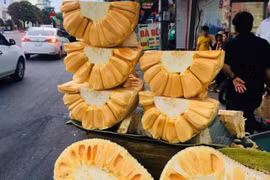 Mít Thái tại vườn rớt giá thê thảm chỉ còn 2.000 đồng/kg