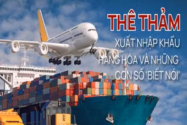 Thê thảm xuất nhập khẩu hàng hóa và những con số biết nói