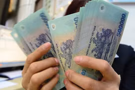 Mê tour rẻ, nhiều cán bộ hưu trí bị lừa đảo du lịch hơn 7 tỉ