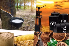 Thị trường ngày 25/4: Dầu thô tăng, giá đường lập đỉnh mới