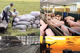 Giá cả thị trường hàng hóa ngày 23/4: Lúa gạo, xăng thép, tiêu... có biến động