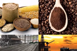 Thị trường ngày 16/5: Sắt thép, cao su, cà phê cùng tăng