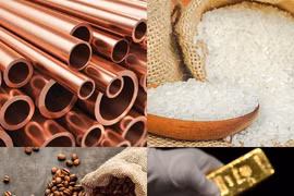 Thị trường ngày 23/12: Giá vàng, đồng, đậu tương cùng giảm... gạo tăng