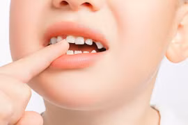 Phát triển loại thuốc mới giúp răng mọc lại nhiều lần?
