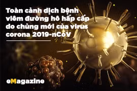 Gallery - E-Magazine Kiến Thức - image 11