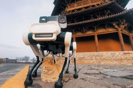 Tận mục chó robot AI bảo vệ di tích ngàn năm tuổi 