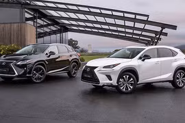 Xe sang Lexus NX và RX bản đặc biệt mới từ 1 tỷ đồng