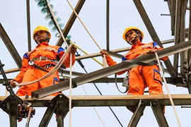 Gallery - Trà Bí Đao, Nước Tăng Lực Vinawonsi Không Đạt Chuẩn - image 5
