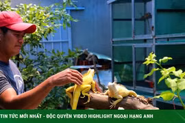 Bỏ việc văn phòng, nuôi thú cưng độc lạ thu trăm triệu mỗi năm