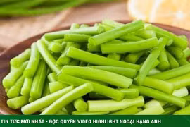 Món này được coi là kháng sinh tự nhiên, vừa tươi lại giòn tan
