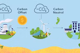 Mua bán tín chỉ carbon sẽ mang lại lợi ích cho người trồng rừng