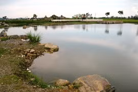 500
