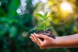 Truyền cảm hứng sống xanh cho giới trẻ 